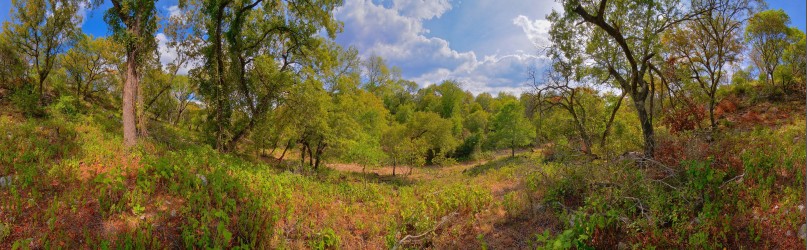 Thumbnail of Bamberger Ranch, A Valley in High Lonesome, no. 1.jpg