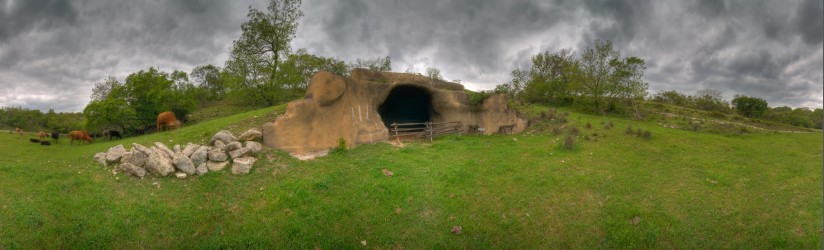 Thumbnail of Bamberger Ranch, Chiroptorium and Cattle.jpg