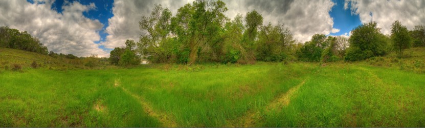 Thumbnail of Bamberger Ranch, High Lonesome, Sedge Meadow.jpg