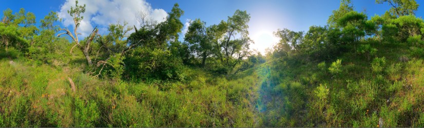 Thumbnail of Bamberger Ranch, Valley in Brownsville.jpg