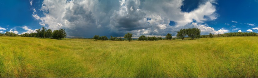 Thumbnail of Bamberger Ranch, West Slope Middle Grassland, no. 2.jpg