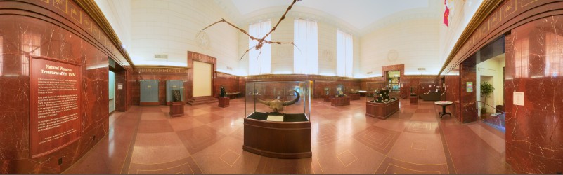 Thumbnail of University of Texas at Austin, Texas Memorial Museum, Lobby, no. 2.jpg